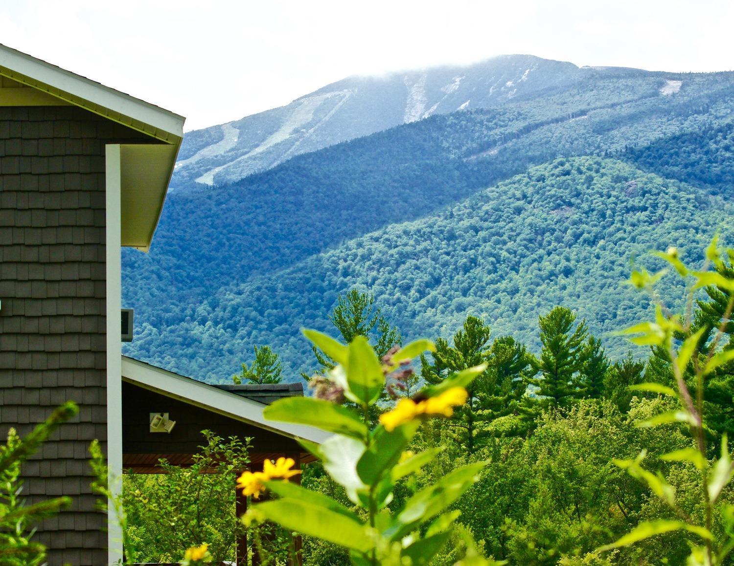 Lookout Mountain Chalet Wilmington Kültér fotó
